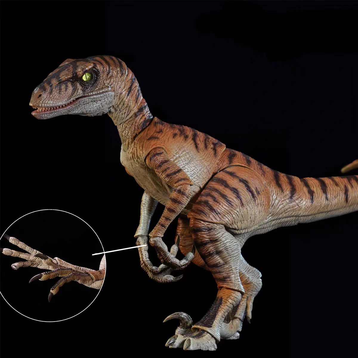 Brand-new NANMU Studio Jurassi - огляд і ціна Model Kit Dinosaur Bandai