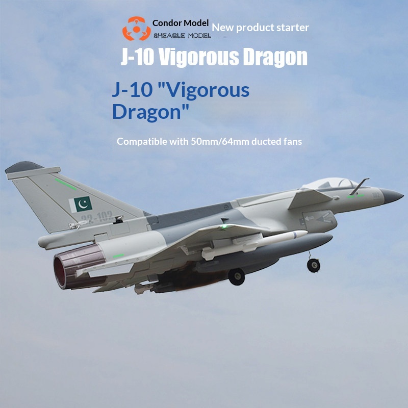 SH-EAGLE MODEL J-10 Vigorous D - огляд і ціна Model Kit Jet