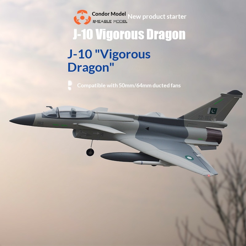 SH-EAGLE MODEL J-10 Vigorous D - огляд і ціна Model Kit Jet