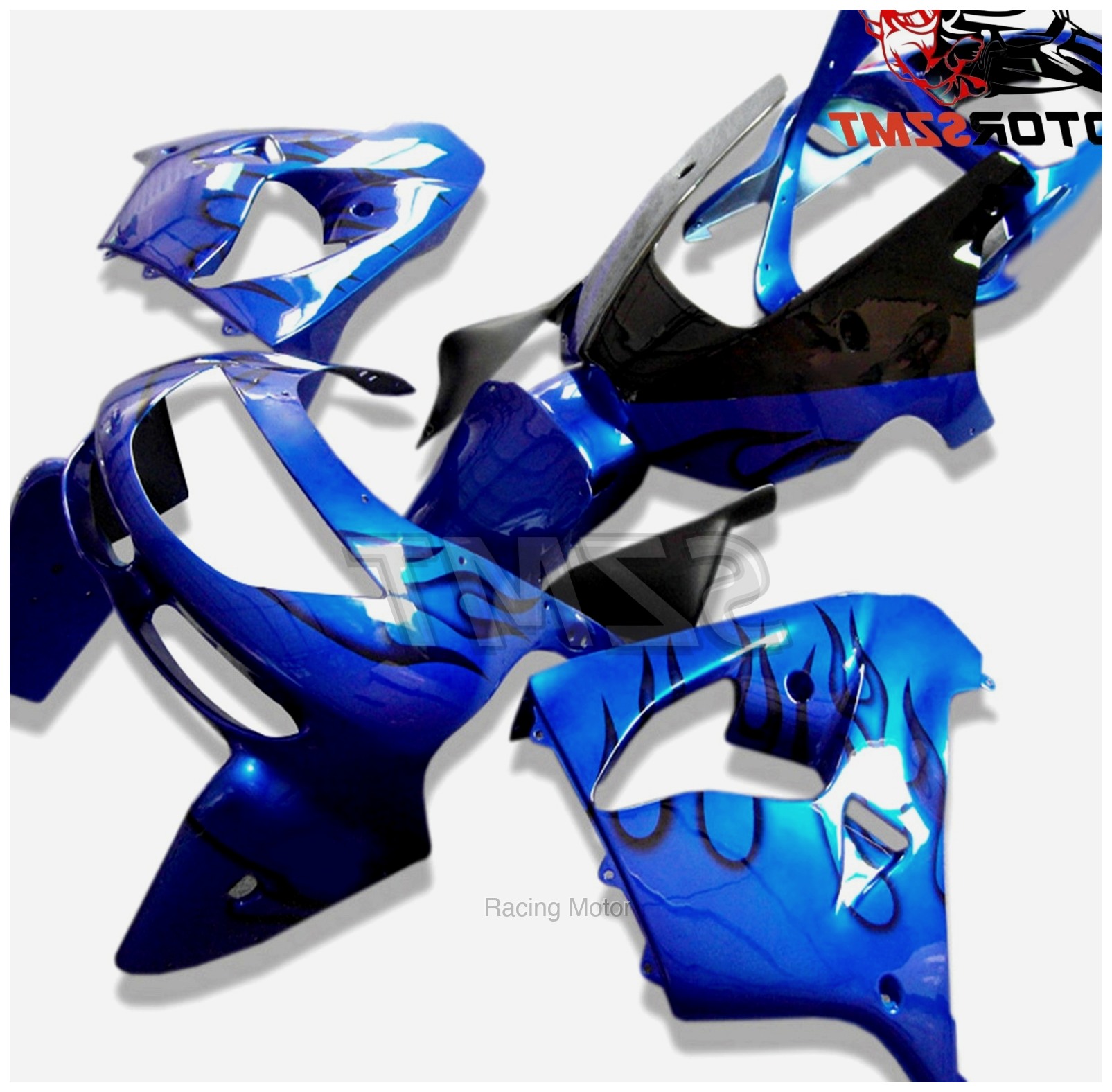 Customized Bodywork Fairing Se - огляд і ціна Model Kit Ninja
